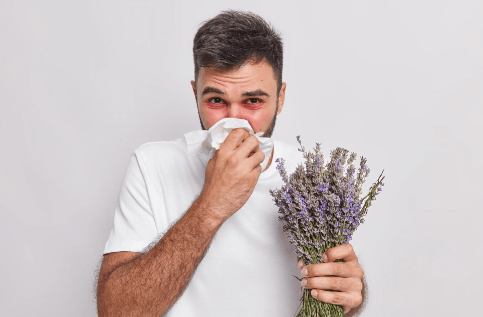 Allergies & Hayfever