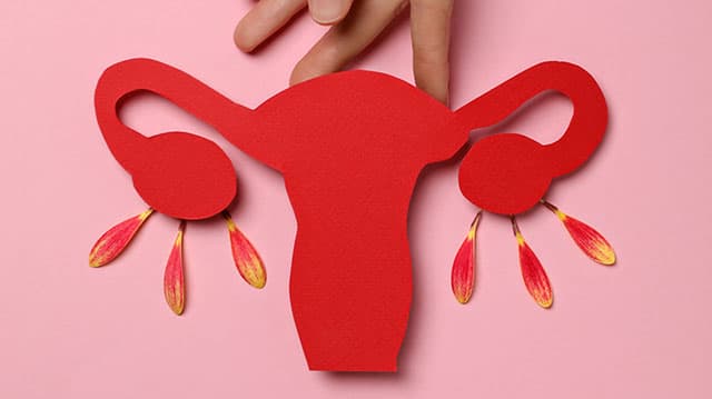 Menopause